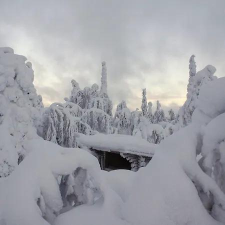 ゴールド ヴィレッジ タンカヴァーラ