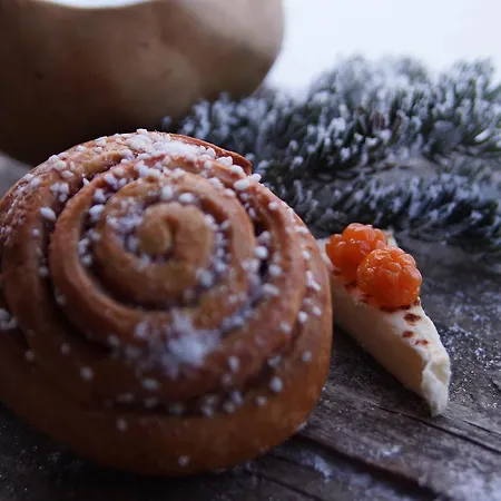 Gold Village Feriested Tankavaara