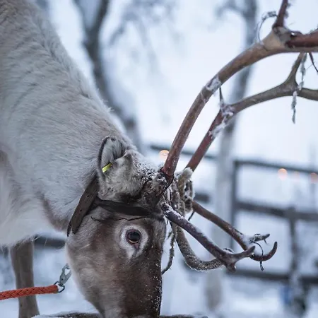 Gold Village Tankavaara