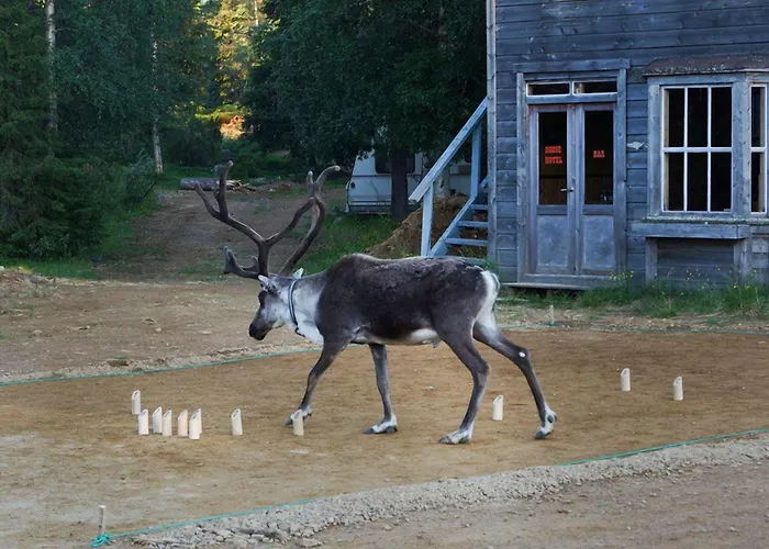 منتجع Gold Village