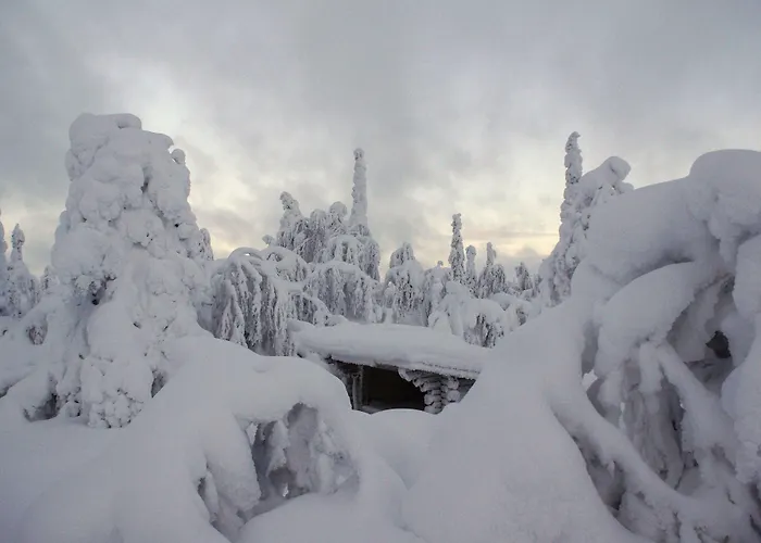 Gold Village Tankavaara