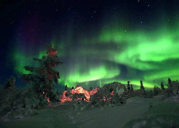 منتجع Gold Village Tankavaara