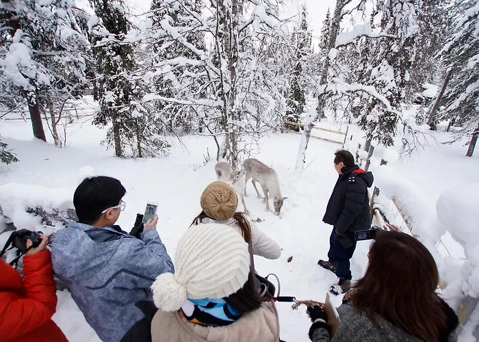 منتجع Gold Village